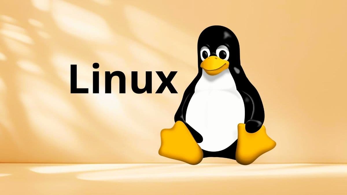 常见Linux系统维护命令合集